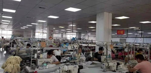 服裝廠網絡工程建設 中工招商網如何助力智能化升級